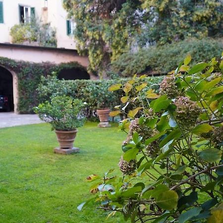 Loft Moderno Ubicato Nel Centro Storico Di Lucca 아파트 외부 사진